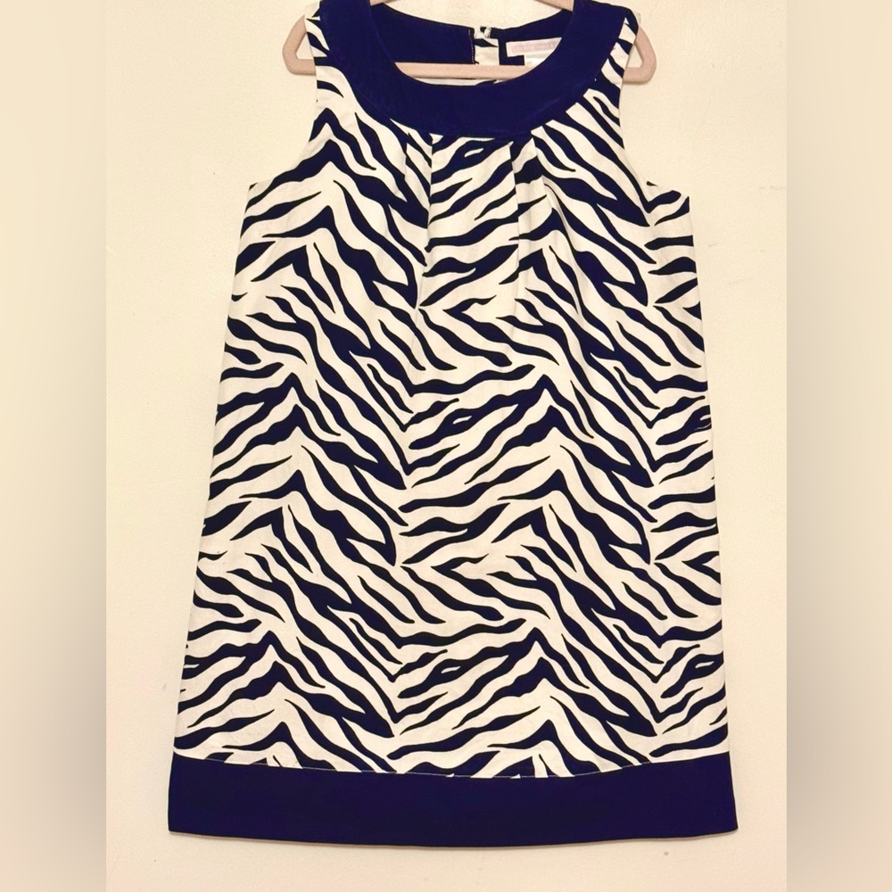 Janie and Jack Blue Zebra Dress